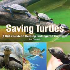 Saving Turtles