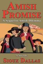 Amish Promise