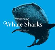 Wandering Whale Sharks