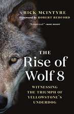 Rise of Wolf 8