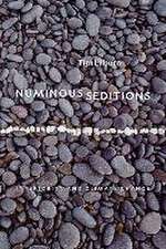 Numinous Seditions