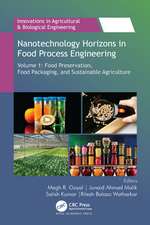 Nanotechnology Horizons in Food Process Engineering