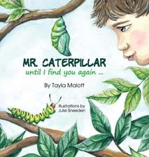 Mr. Caterpiller