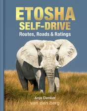 Etosha Self-Drive: Routes, Roads and Ratings