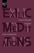 Exilic Meditations: Essays on a Displaced Life