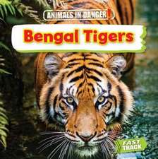 Bengal Tigers