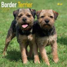 Border Terrier Calendar 2017