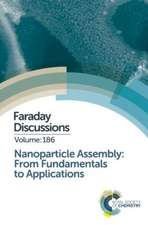 Nanoparticle Assembly: Faraday Discussion