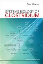 Systems Biology of Clostridium