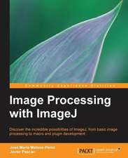 Image Processing with Imagej: Blocks