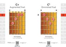 Guitar Chords (Pick Up and Play)