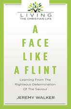 A Face Like a Flint