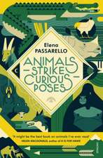 Passarello, E: Animals Strike Curious Poses