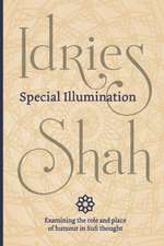 Special Illumination (Pocket Edition): The Sufi Use of Humour