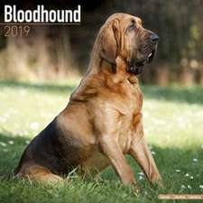 Avonside Publishing Ltd: Bloodhound Calendar 2019