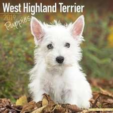 West Highland Terrier Puppies Calendar 2019