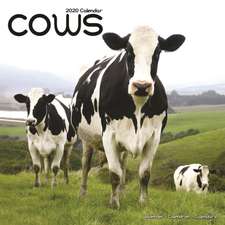 Cows Calendar 2020