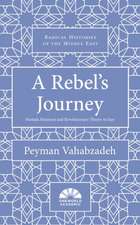 A Rebel's Journey