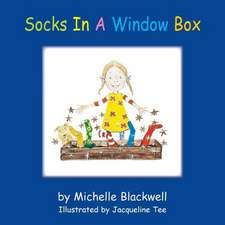 Socks In A Window Box