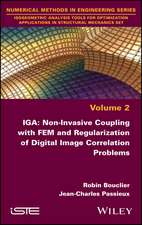 IGA – Non–invasive Coupling with FEM and Regularization of Digital Image Correlation Problems Vol 2