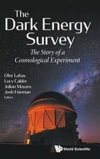 DARK ENERGY SURVEY, THE