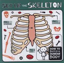 Set Up the Skeleton