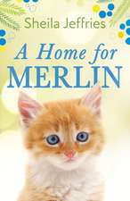 A Home for Merlin