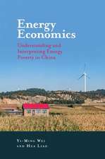 Energy Economics – Understanding and Interpreting Energy Poverty in China