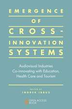 Emergence of Cross–innovation Systems – Audiovisual Industries Co–innovating with Education, Health Care and Tourism