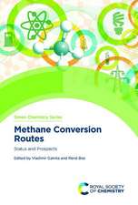 Methane Conversion Routes