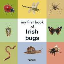 My First Book of Irish Bugs