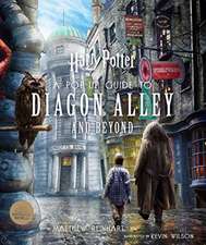 Harry Potter A Pop-Up Guide to Diagon Alley and Beyon