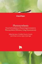 Photosynthesis