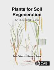 Plants for Soil Regeneration – An Illustrated Guide