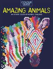 Farnsworth, L: Colour Quest: Amazing Animals