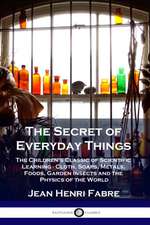 The Secret of Everyday Things