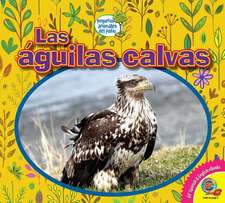 Las Águilas Calvas