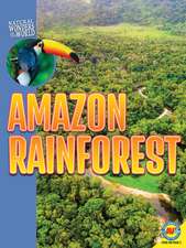 Amazon Rainforest