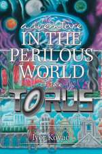 Adventure in the Perilous World of the Torus