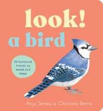 Look! a Bird