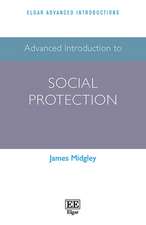 Advanced Introduction to Social Protection