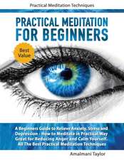 Practical Meditation For Beginners - A Beginners Guide to Relieve Anxiety, Stress and Depression. How to Meditate in Practical Way. Great for Reducing Anger and Calm Yourself. Practical Techniques