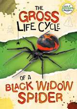 The Gross Life Cycle of a Black Widow Spider