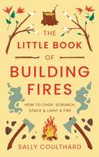 Coulthard, S: Little Book of Building Fires