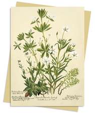 RBGE: Charlotte Cowan Pearson: Stitchworts, Woodruff and Pepperwort Greeting Card Pack: Pack of 6