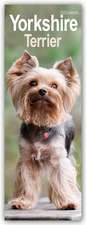 Yorkshire Terrier - Yorkies 2025