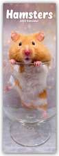 Hamsters - Hamster 2025