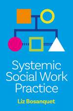 Systemic Social Work Practice