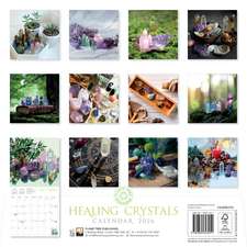 Healing Crystals Wall Calendar 2026 (Art Calendar)