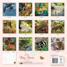 Patricia MacCarthy's Baby Animals Wall Calendar 2026 (Art Calendar)